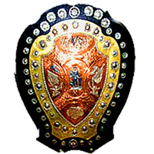 IFA Shield - Wikipedia