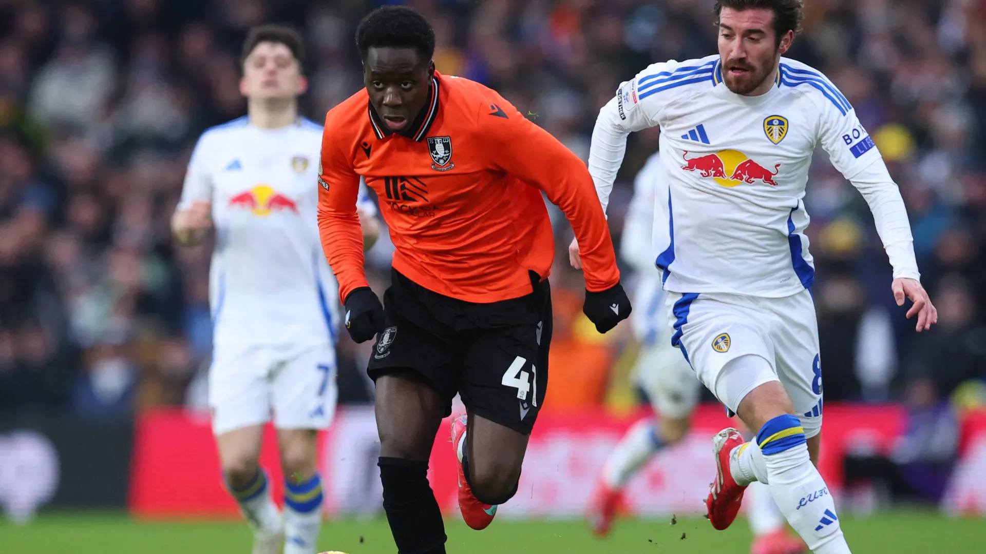 Djeidi Gassama trong màu áo Sheffield Wednesday