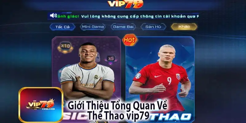 Thể thao Vip79 – Sân chơi cực đỉnh cho người mê cá độ 13 Thể thao Vip79 – Sân chơi cực đỉnh cho người mê cá độ