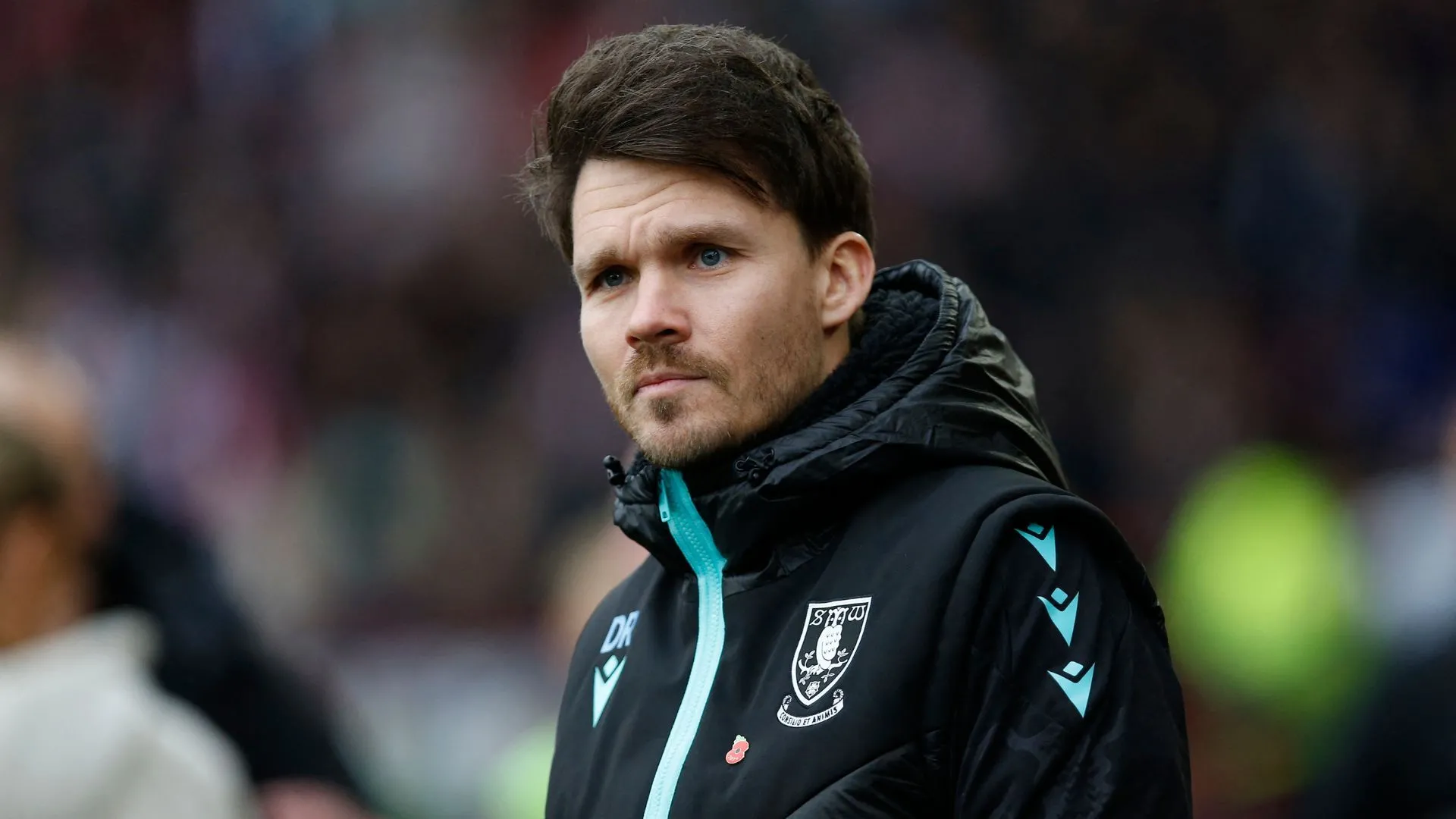 HLV Danny Rohl của Sheffield Wednesday được đồn đoán muốn trở lại Bundesliga