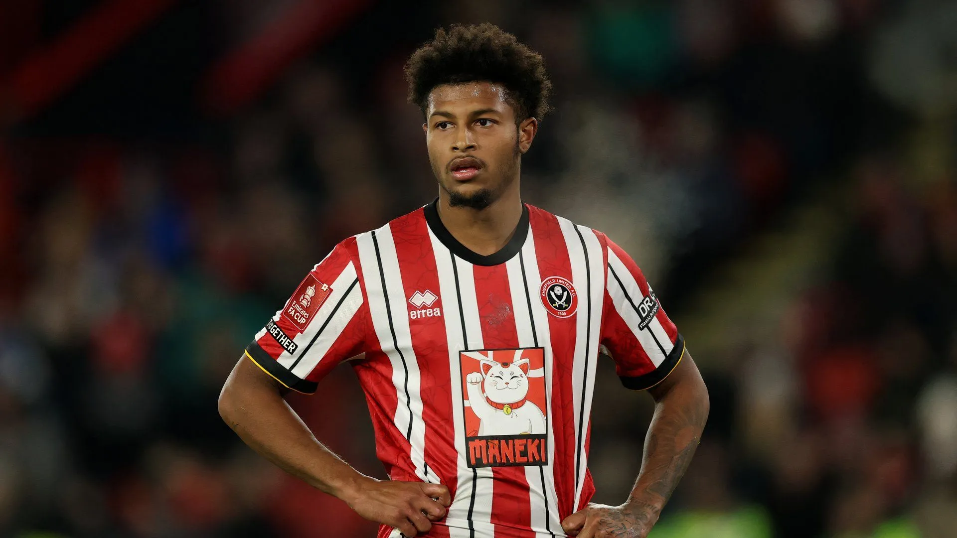Rhian Brewster thi đấu cho Sheffield United ở mùa giải 2024/25