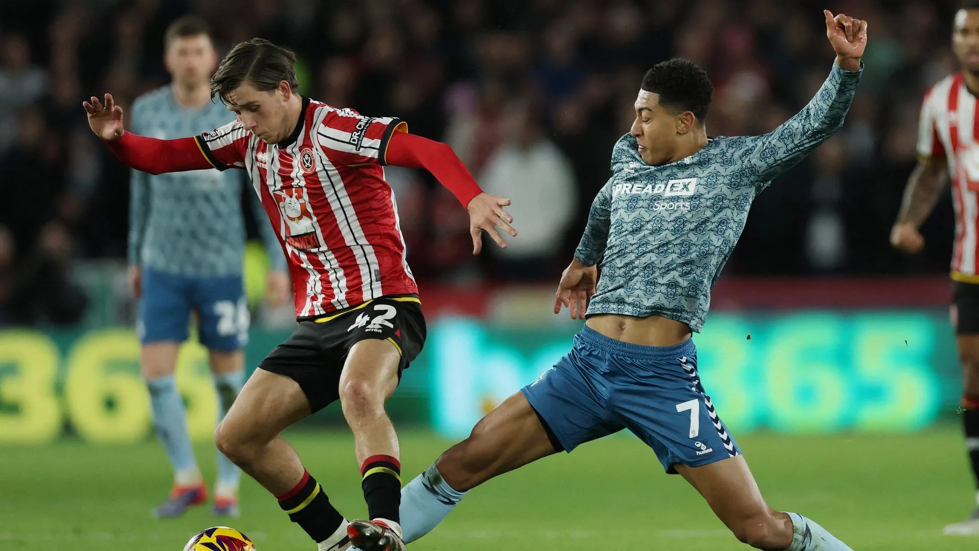 Tiền vệ trẻ Sydie Peck của Sheffield United