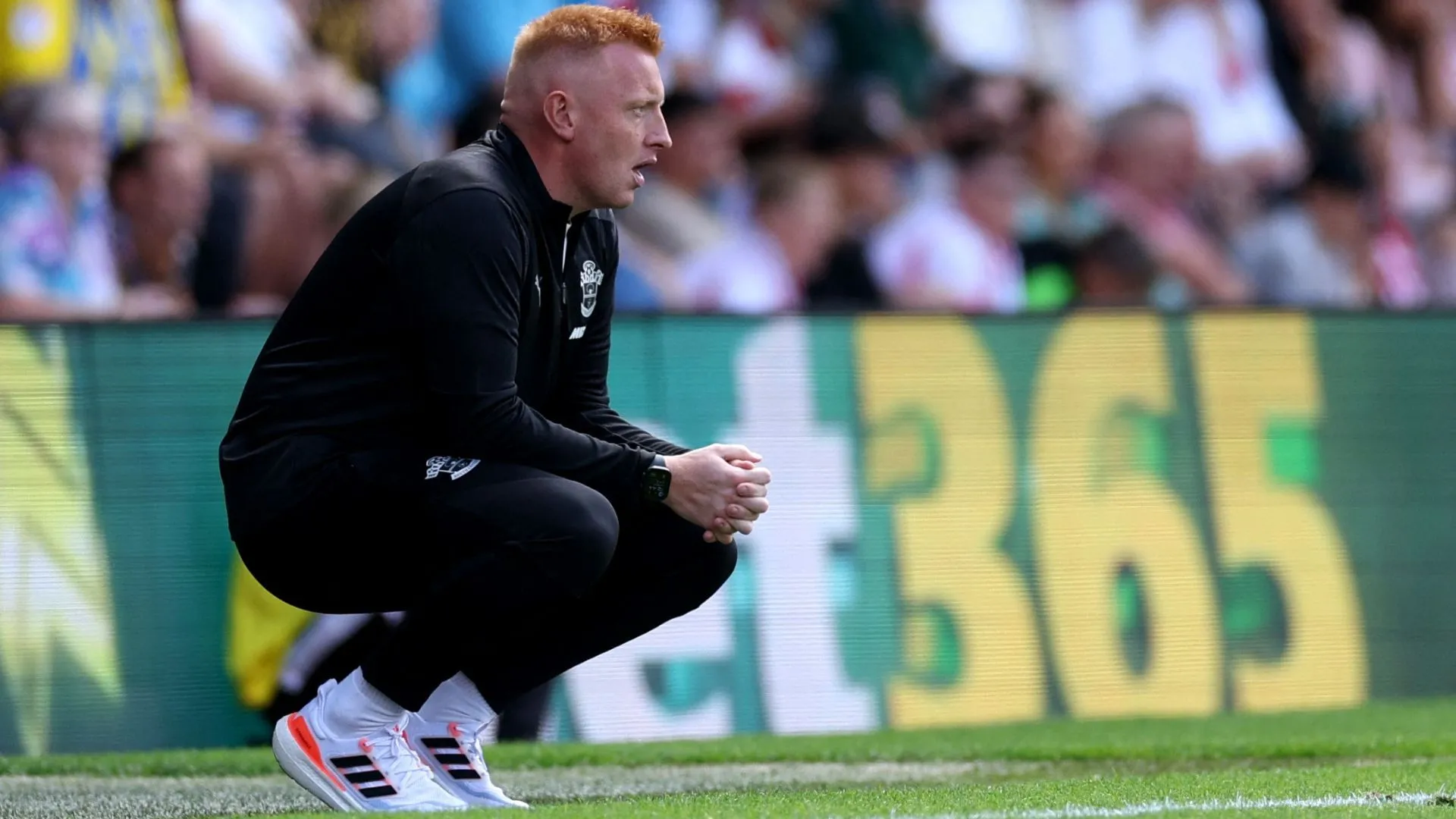 Will Still căng thẳng trên ghế huấn luyện tại St Mary's, hình ảnh thể hiện áp lực với HLV Southampton